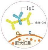 奥马珠单抗